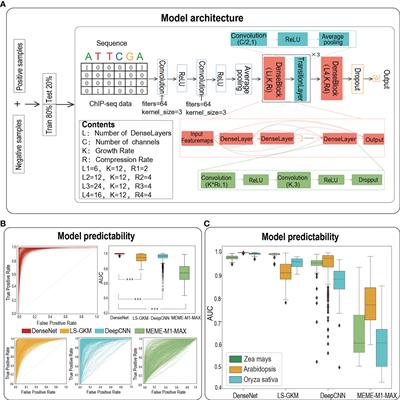 TSPTFBS 2.0: trans-species prediction of transcription factor binding sites and identification of their core motifs in plants